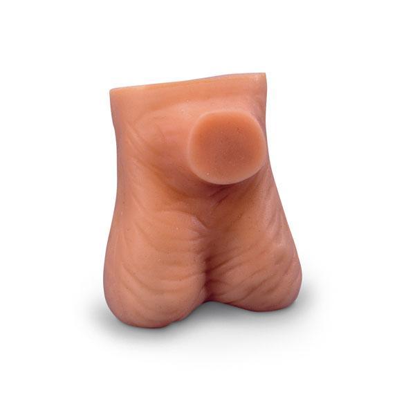 testicle examination model