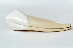 canine tooth model