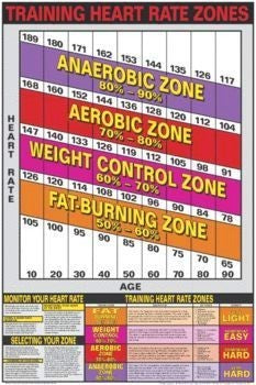 Training Heart Rate Training Weight Contro Zones Target Chart Poster