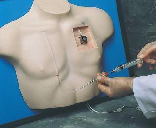 vascular access device manikin simulator model