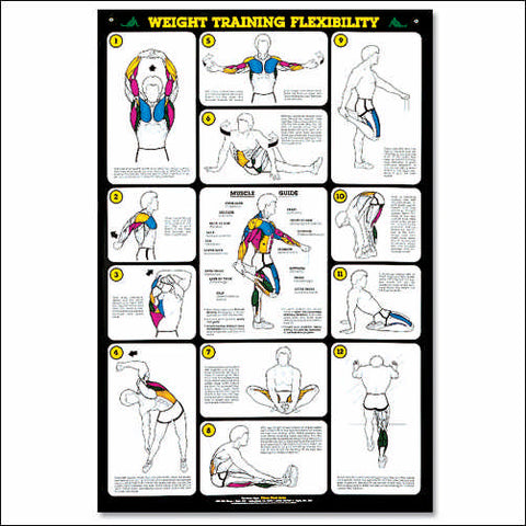 weight training flexibility chart poster