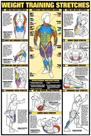 weight training stretches posters