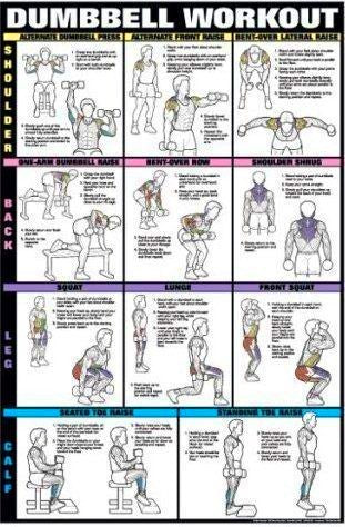 Dumbbell Workout Weightlifting Exercise