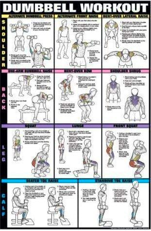 Back Exercises Chart