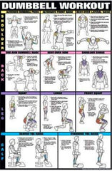 Dumbbell Workout Weightlifting Exercise