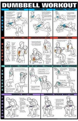 dumbbell chest workout weightlifting exercise