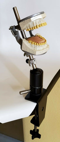 dental x-ray manikin simulator