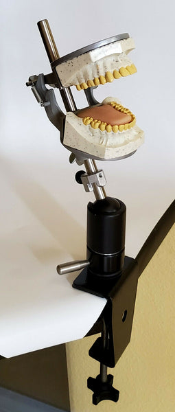 dental teeth x-ray manikin